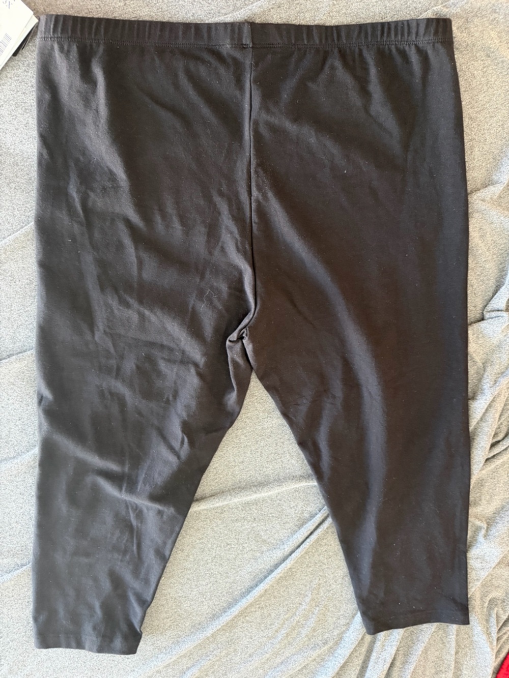 Danskin capri leggings.  3X